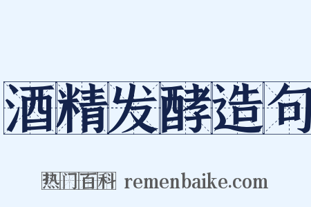 酒精发酵造句是什么意思的图片